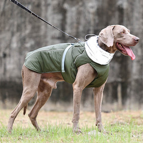 Veste imperméable chaude à col haut et réfléchissante pour chien