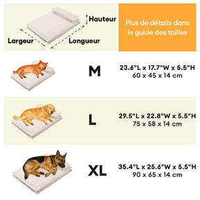 Lit pour chien anti-anxiété avec support en mousse pour sommeil profond