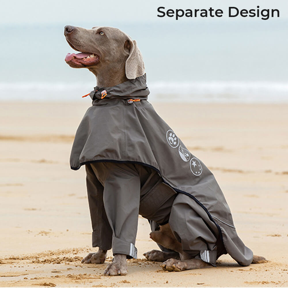 Imperméable pour chien à quatre pattes avec capuche à motif réfléchissant