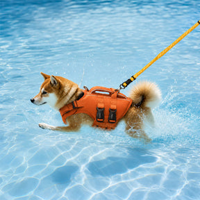 Gilet de sauvetage pour chiens ajustable avec bandes réfléchissantes pour chiens de taille moyenne et grande