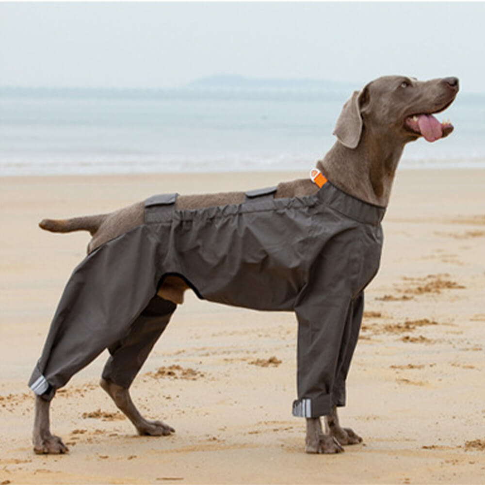 Imperméable pour chien à quatre pattes avec capuche à motif réfléchissant