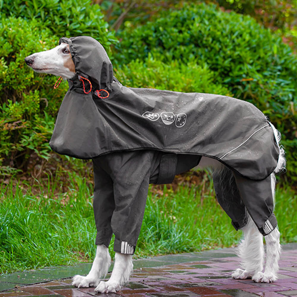 Imperméable pour chien à quatre pattes avec capuche à motif réfléchissant