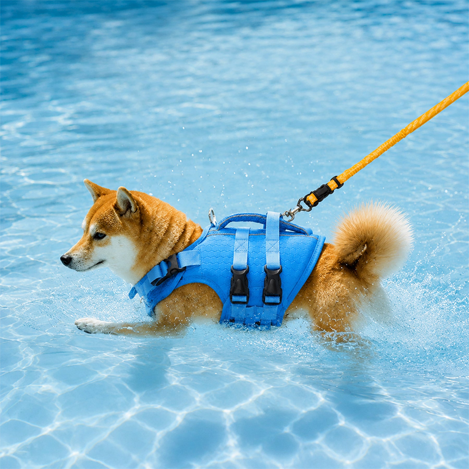 Gilet de sauvetage pour chiens ajustable avec bandes réfléchissantes pour chiens de taille moyenne et grande