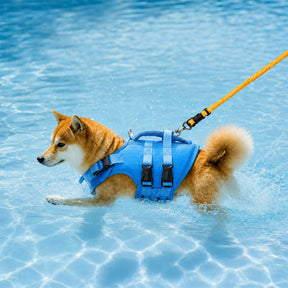 Gilet de sauvetage pour chiens ajustable avec bandes réfléchissantes pour chiens de taille moyenne et grande