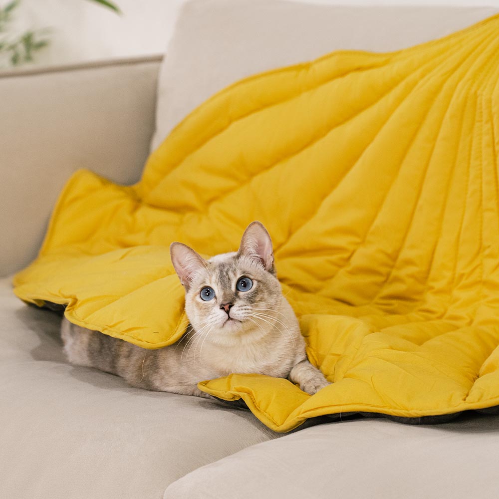 Protection de mobilier lavable toutes saisons pour lit de chat