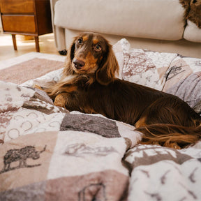 Panier pour Chien Anti-Griffures Lavable Boho avec Franges Apaisant Rond - Nuit Chasser