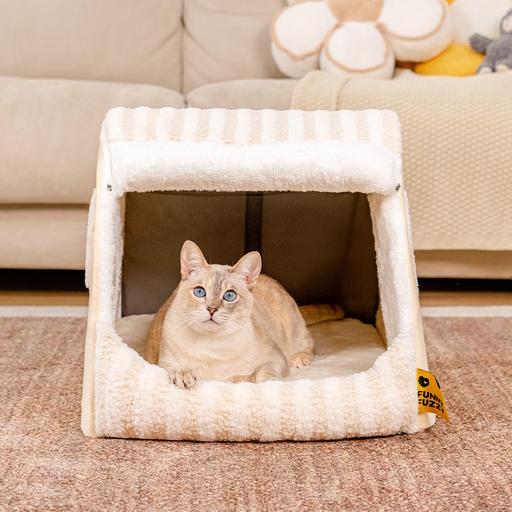 Maison de chat rayée et confortable - Retraite douillette