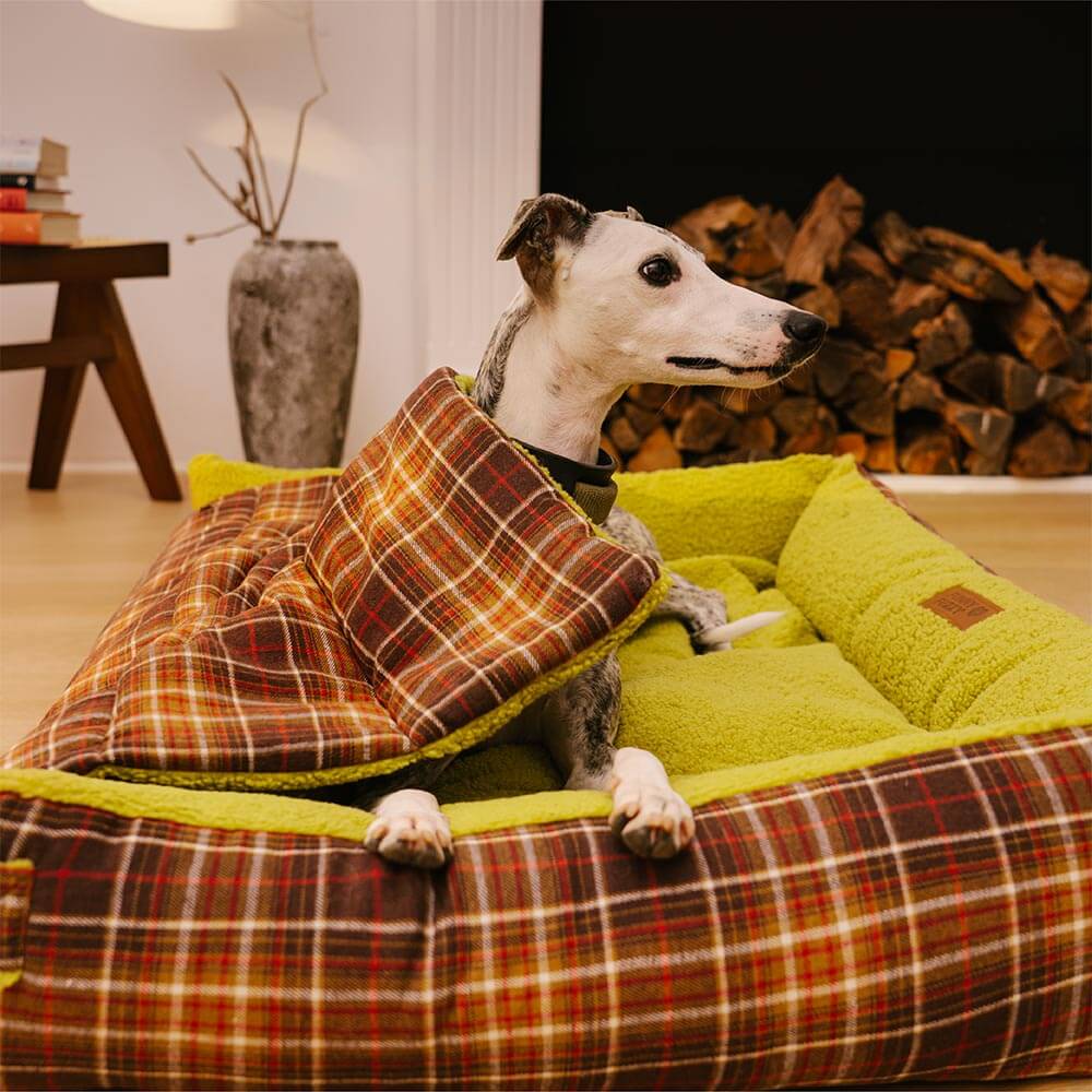 Grand lit pliable lavable pour chien en tartan vintage - Avocuddle