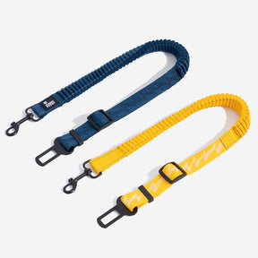 Ceinture de sécurité ajustable pour chien