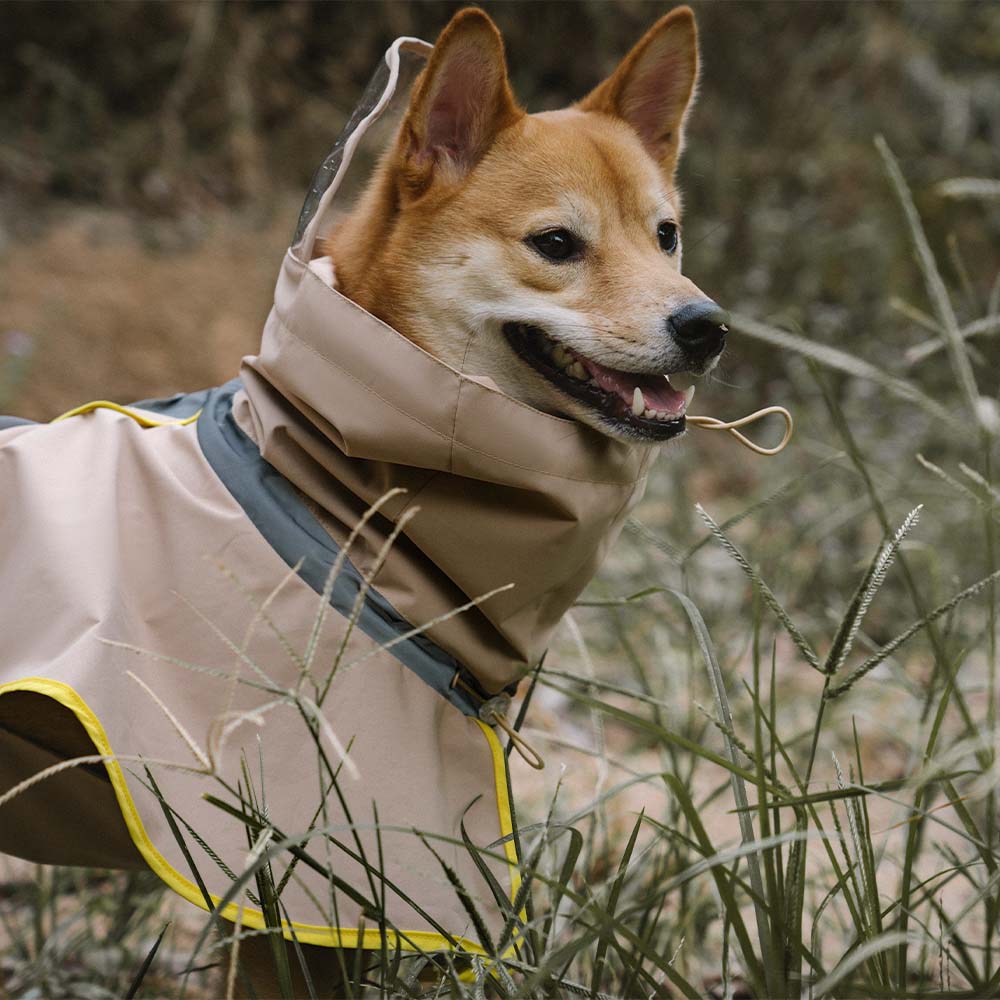 Imperméable réfléchissant réglable avec poche pour chien et maître - Restez au sec