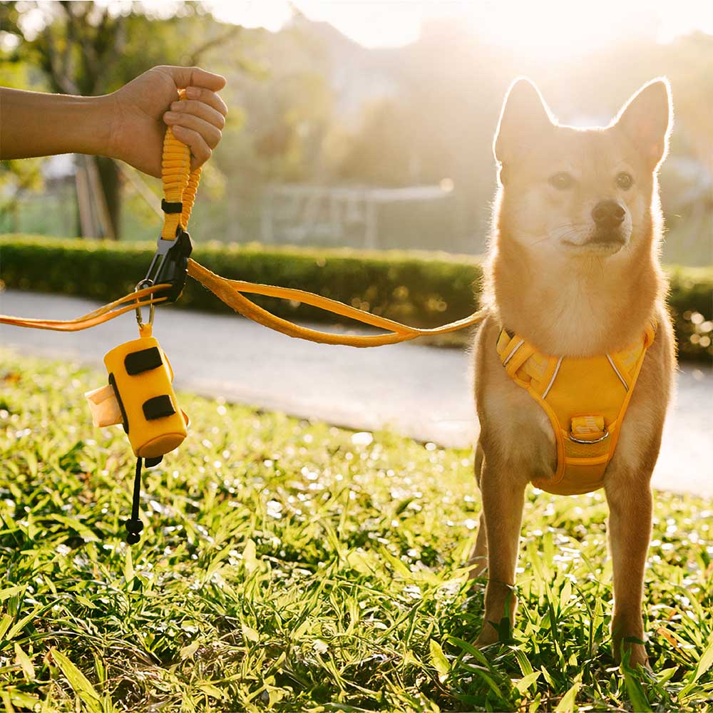 Distributeur de sacs à crottes étanche avec laisse FUNNYFUZZY -  Flexi Walker