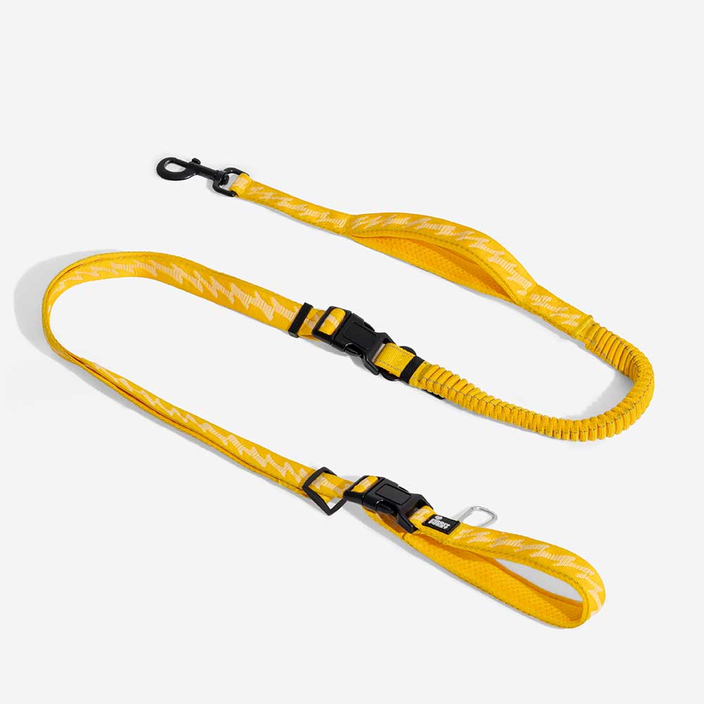 Laisse pour chien grande taille nylon réfléchissante réglable polyvalente avec poignée souple - Flexi Walker