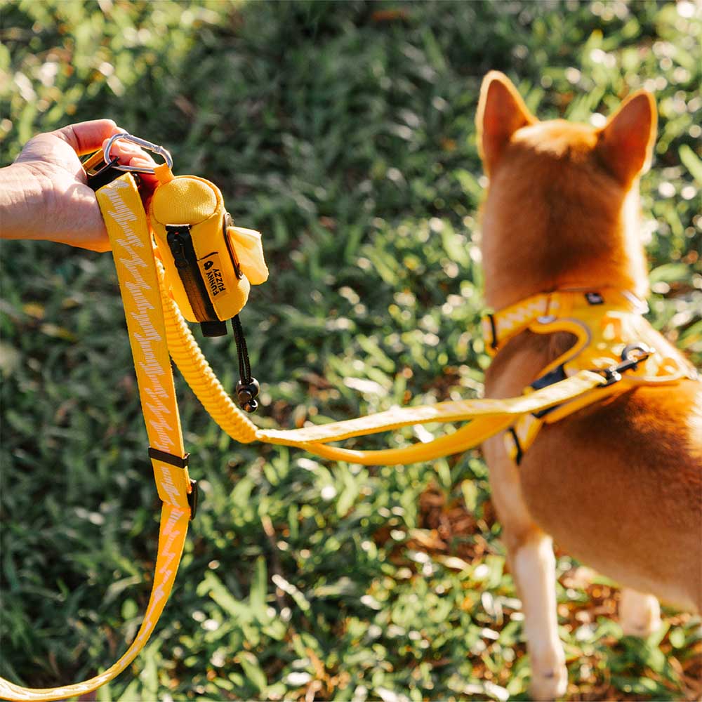 Distributeur de sacs à crottes étanche avec laisse FUNNYFUZZY -  Flexi Walker