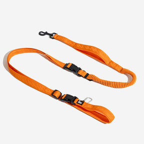 Laisse pour chien grande taille nylon réfléchissante réglable polyvalente avec poignée souple - Flexi Walker