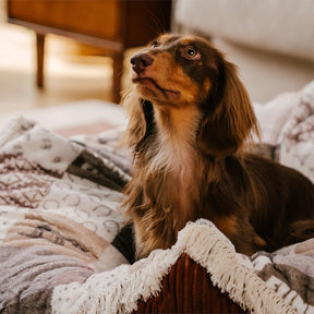 Panier pour Chien Anti-Griffures Lavable Boho avec Franges Apaisant Rond - Nuit Chasser