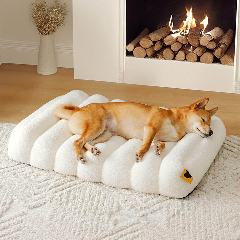 Grand Coussin Plat Lavable Crème Confortable pour Chien - Cheesecake