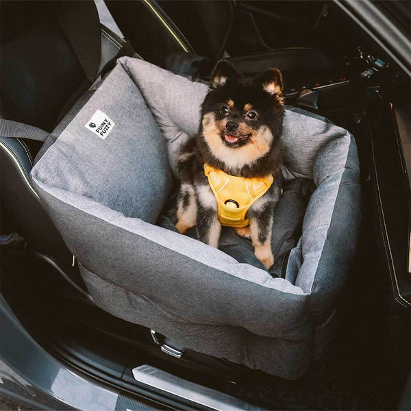Siège auto pour chien surélevé et épaissi et imperméable avec protection pour le voyage