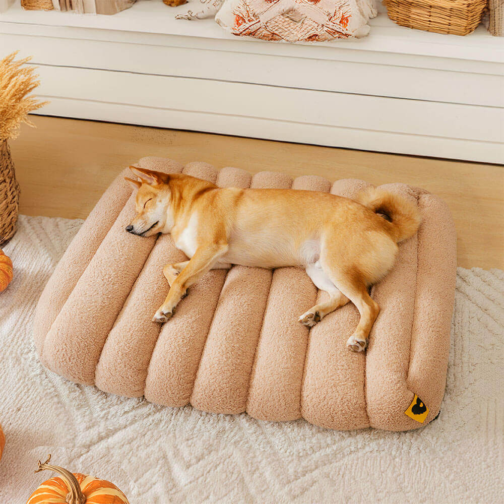 Grand Coussin Plat Lavable Crème Confortable pour Chien - Cheesecake