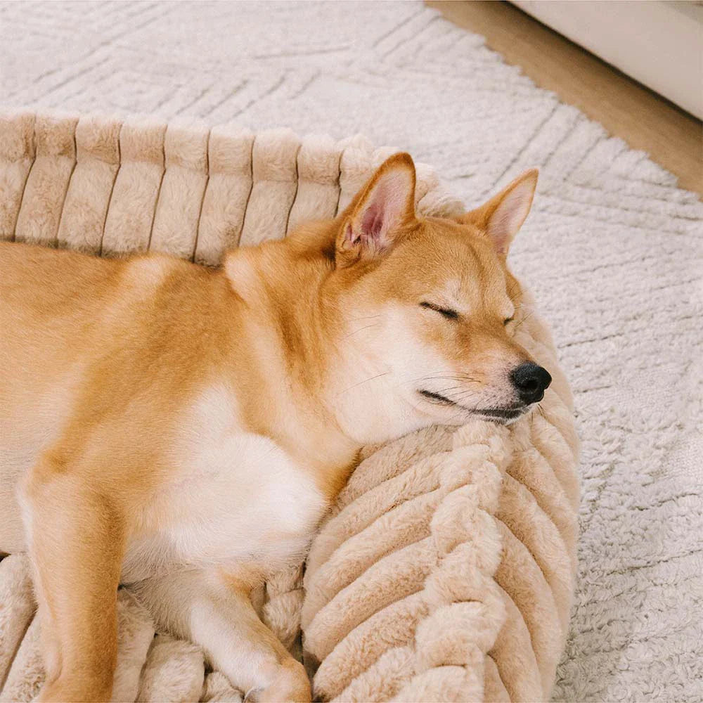 Lit pour chien en peluche orthopédique avec coussin wedge amovible - CozySlope