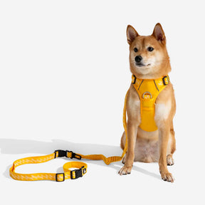 Laisse pour chien grande taille nylon réfléchissante réglable polyvalente avec poignée souple - Flexi Walker