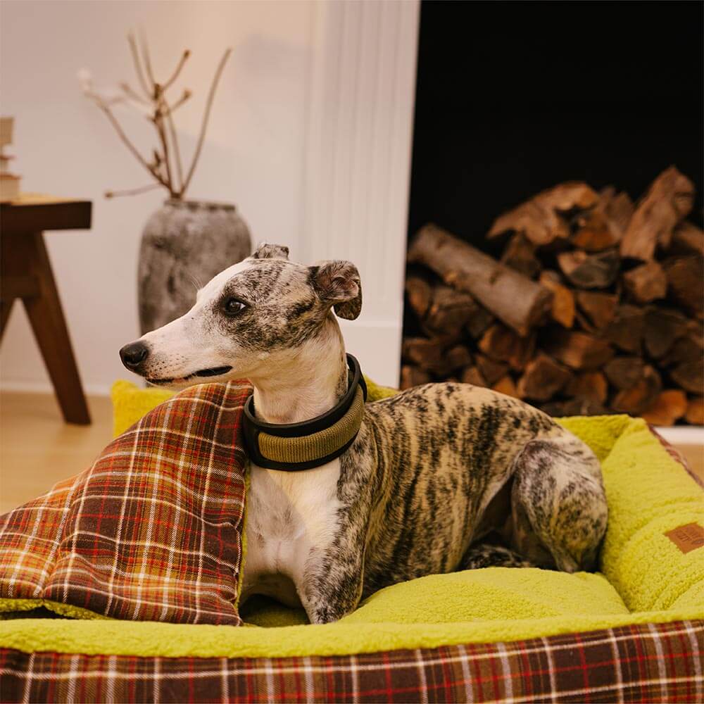 Grand lit pliable lavable pour chien en tartan vintage - Avocuddle