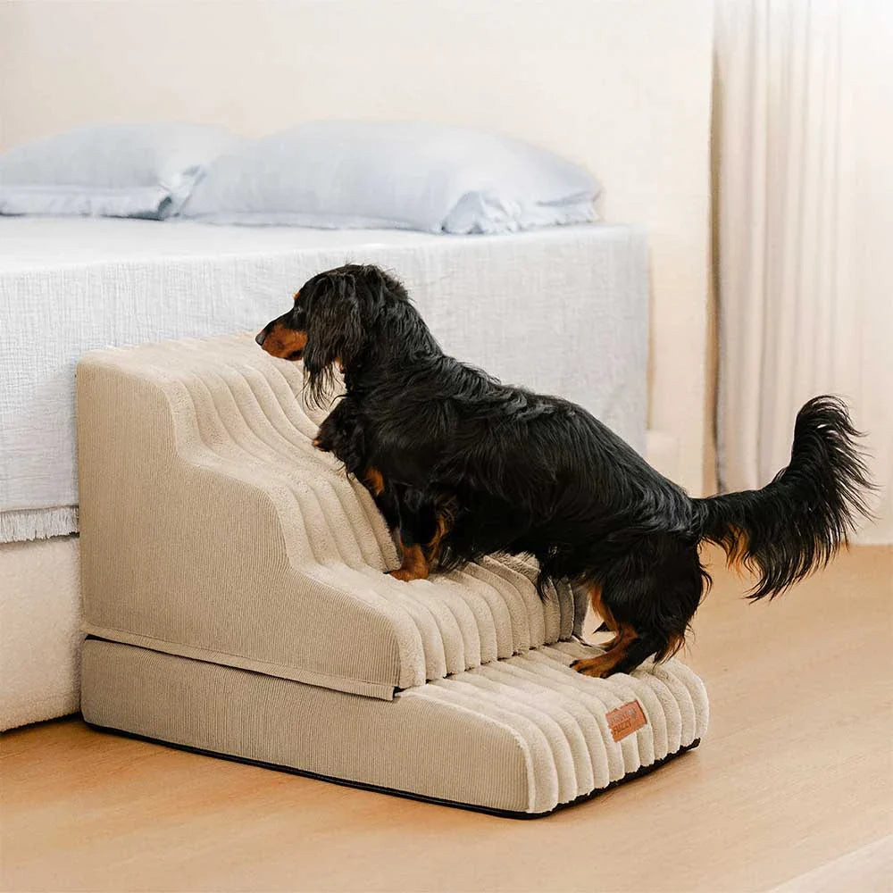 Escalier et lit pour animaux détachables en peluche moelleuse 2 en 1 - CreamyRamp