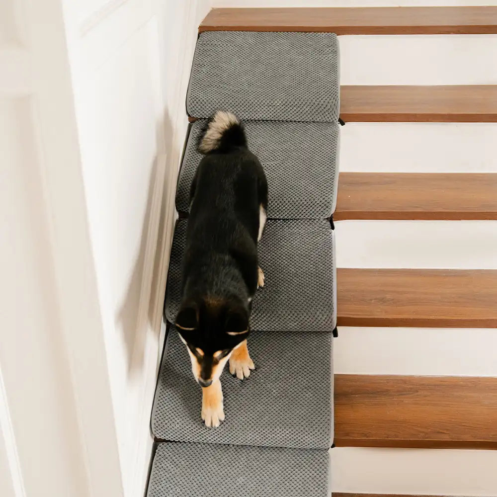Rampe et escaliers modulaires en mousse pour chien pour escaliers avec Velcro