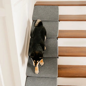 Rampe et escaliers modulaires en mousse pour chien pour escaliers avec Velcro
