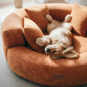 Lit orthopédique pour chien en velours diamant amovible en forme de donut avec coussin - DreamNest