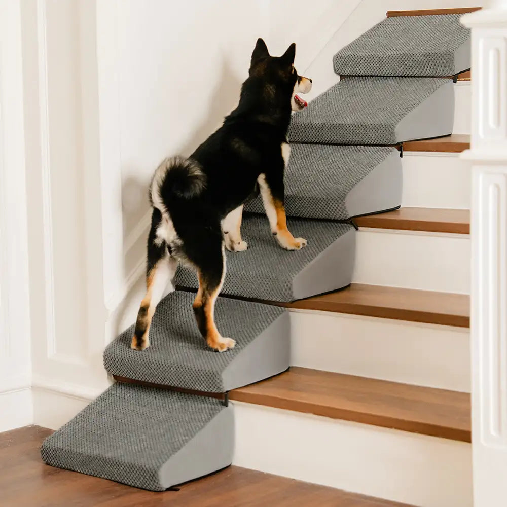 Rampe et escaliers modulaires en mousse pour chien pour escaliers avec Velcro