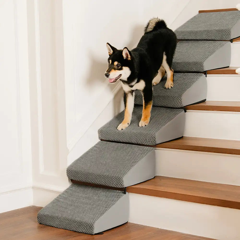 Rampe et escaliers modulaires en mousse pour chien pour escaliers avec Velcro