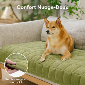 Tapis de protection pour canapé anti-rayures, résistant aux taches, toutes saisons – Rétro
