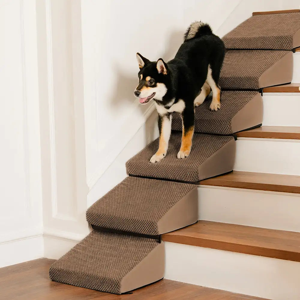 Rampe et escaliers modulaires en mousse pour chien pour escaliers avec Velcro