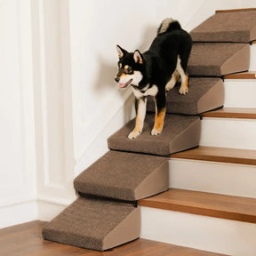 Rampe et escaliers modulaires en mousse pour chien pour escaliers avec Velcro