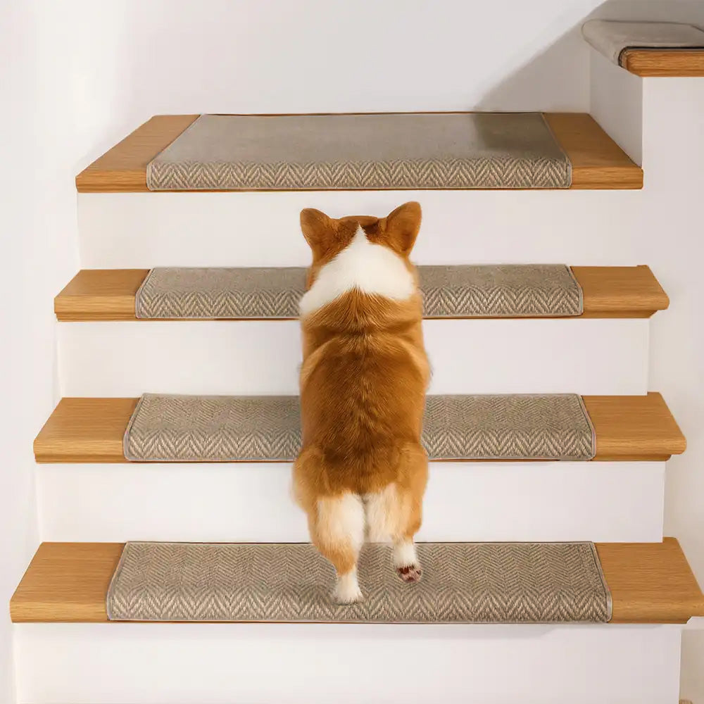 Ruban de protection pour escaliers résistant à l'usure en chevron - Treads de marche pour escaliers en tapis gratuits.