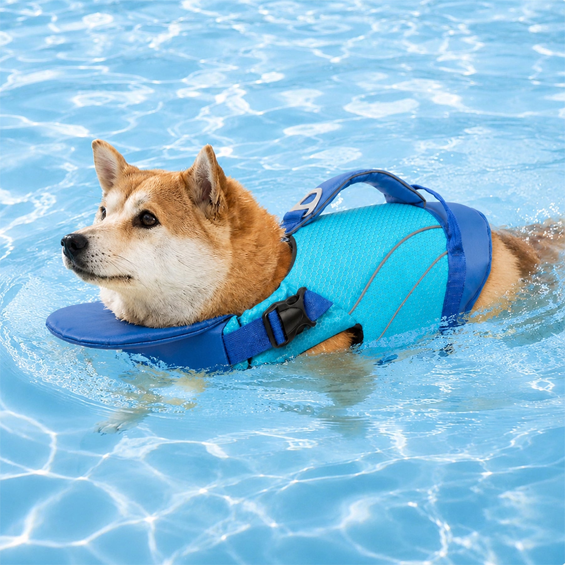 Gilet de sauvetage pour chien avec support de menton amovible