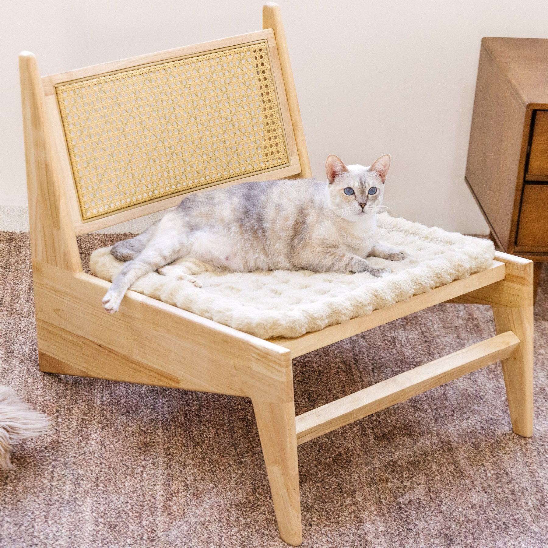 Tapis pour animaux en fausse fourrure pelucheux et chaleureux, housse de canapé antidérapante.
