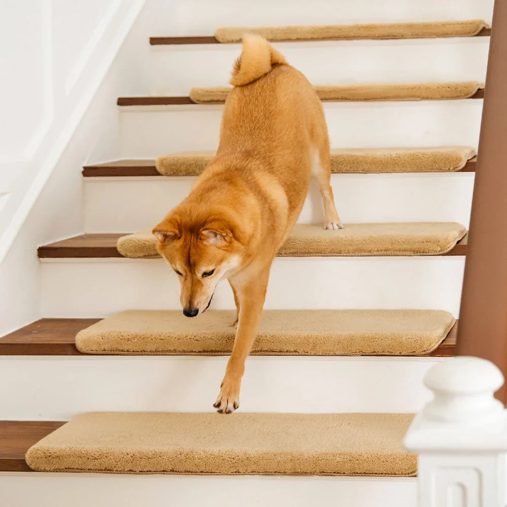 Protecteurs d'escaliers en peluche de couleur unie, bande antidérapante, marches de tapis d'escalier sans colle.