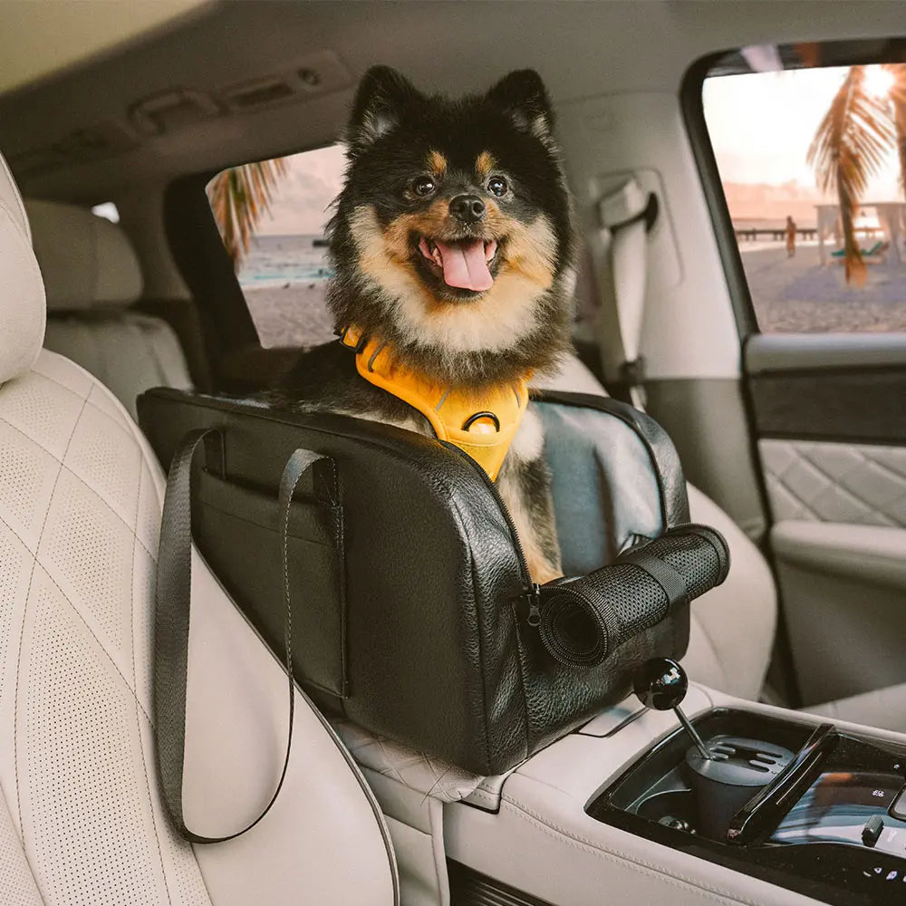 Siège auto détachable surélevé pour petits chiens console centrale