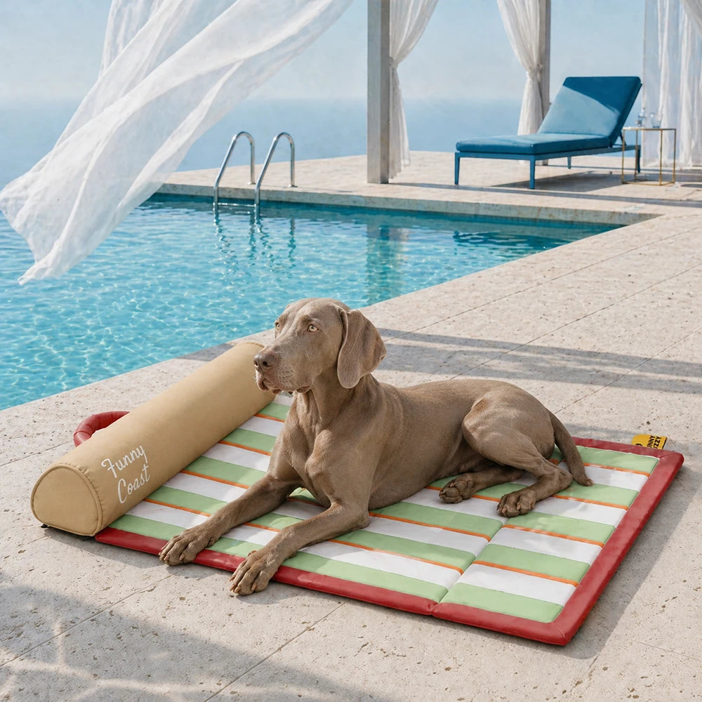 Tapis rafraichissant chien portable pour grand chiens et chat - Chill Nest