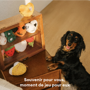Coffret de jouets en édition limitée FUNNYFUZZY