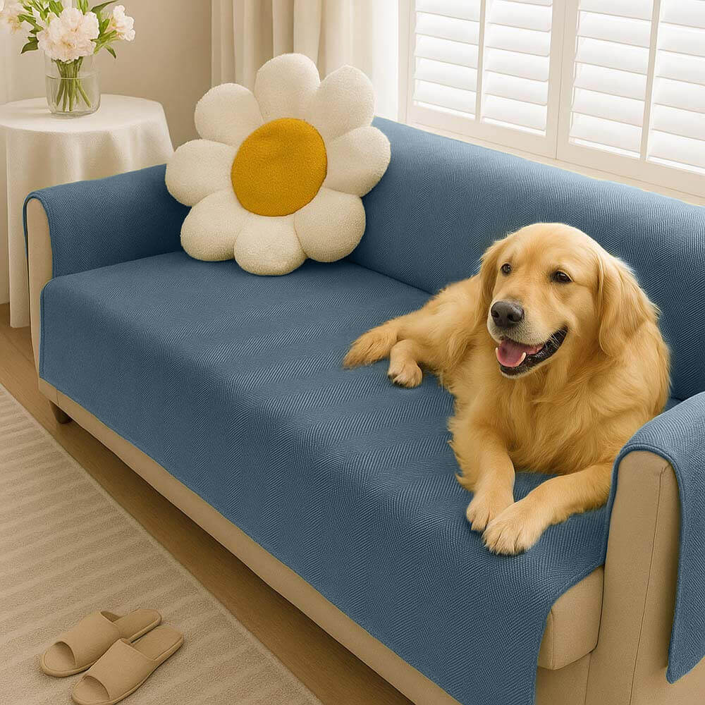 Protège-meubles imperméable et antidérapant : Housse de canapé pour animaux – Slipsafe