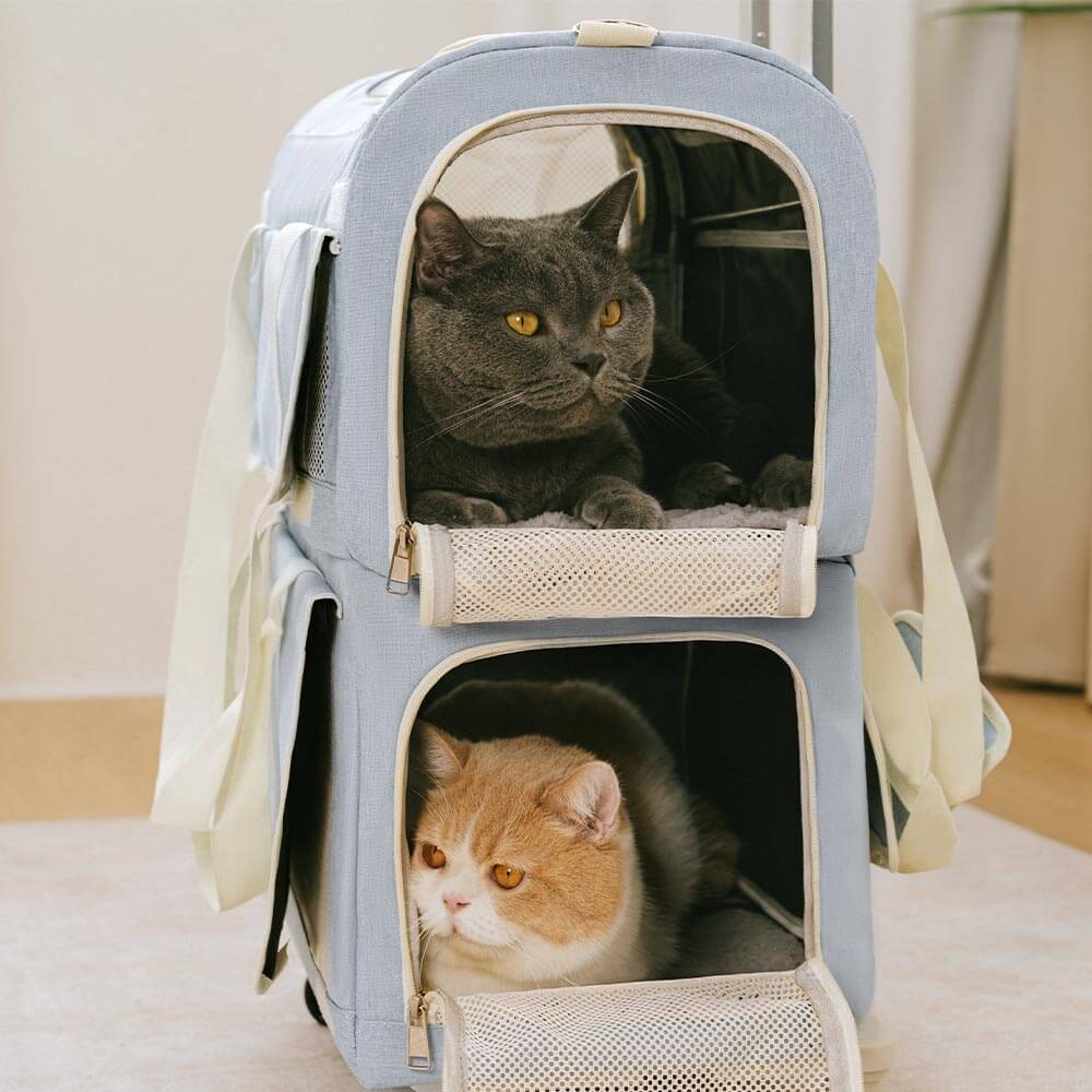 Sac de transport pour animaux à roulettes double couche spacieux pour plusieurs chats