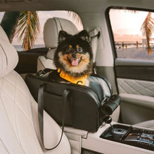 Siège auto détachable surélevé pour petits chiens console centrale
