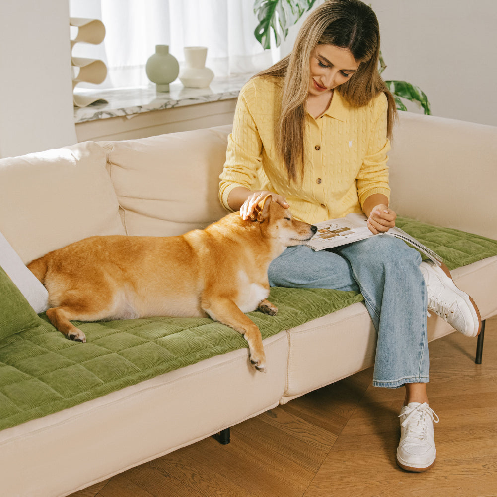 Tapis de protection pour canapé anti-rayures, résistant aux taches, toutes saisons – Rétro