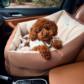 Lit de voiture pour chien étanche ISOFIX, surélevé et épaissi, avec système LATCH