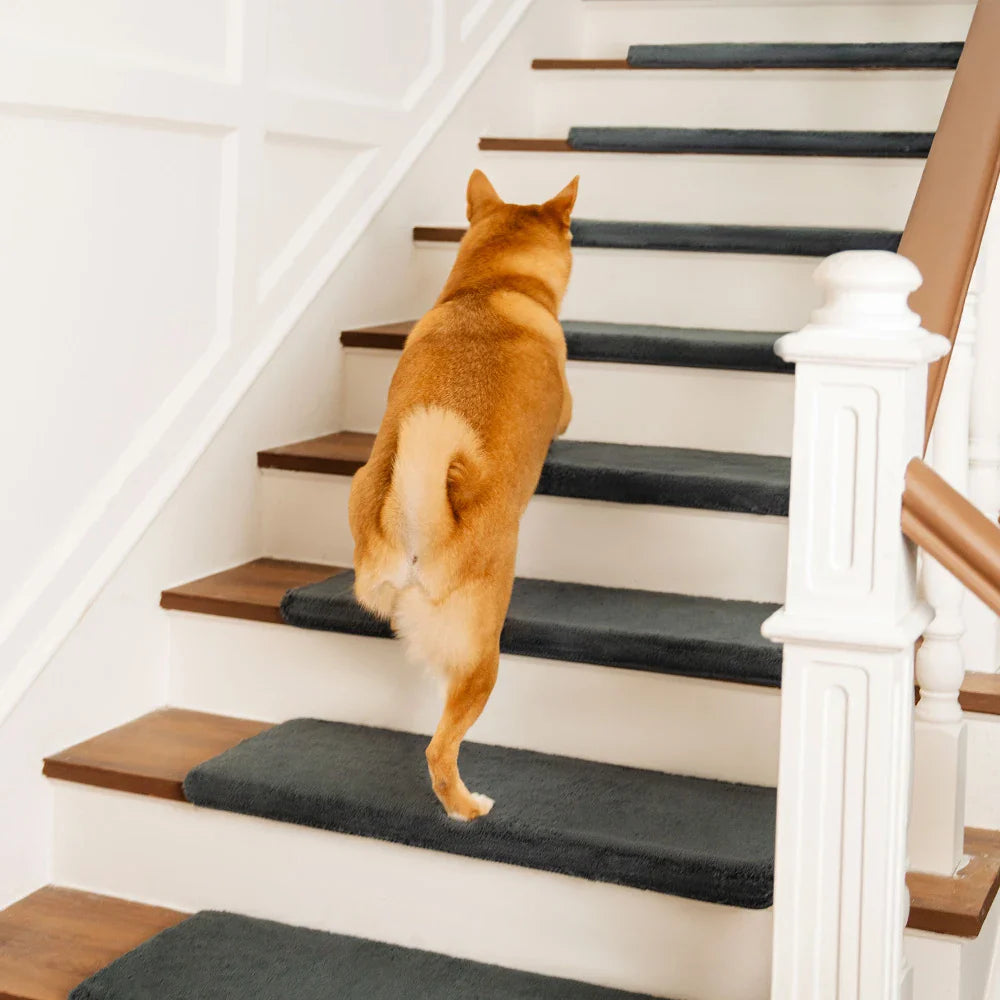 Protecteurs d'escaliers en peluche de couleur unie, bande antidérapante, marches de tapis d'escalier sans colle.