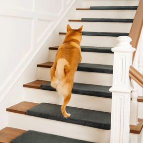 Protecteurs d'escaliers en peluche de couleur unie, bande antidérapante, marches de tapis d'escalier sans colle.