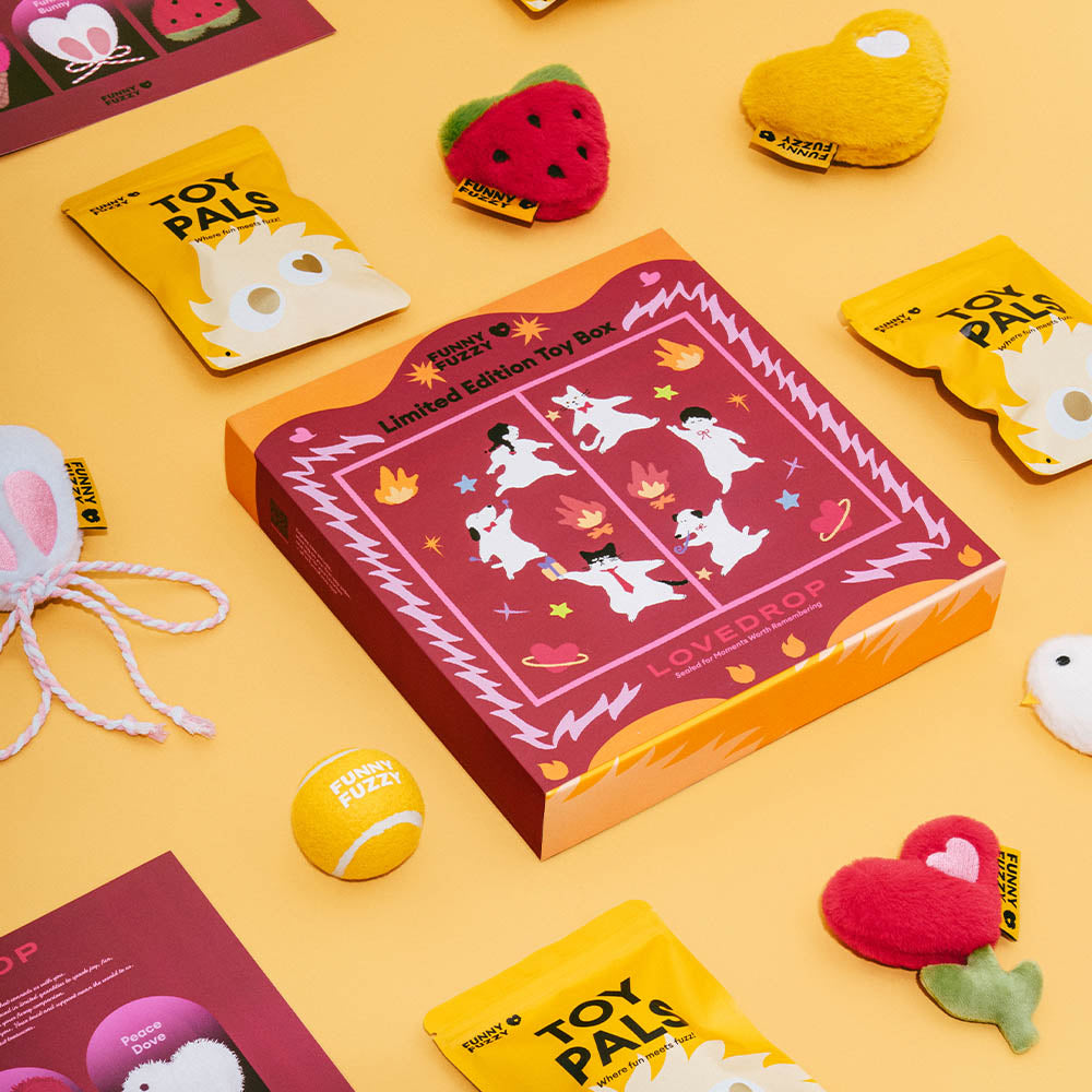 Coffret de jouets en édition limitée FUNNYFUZZY