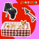 Pack du Lit agréable pour chien classique pour fêtes